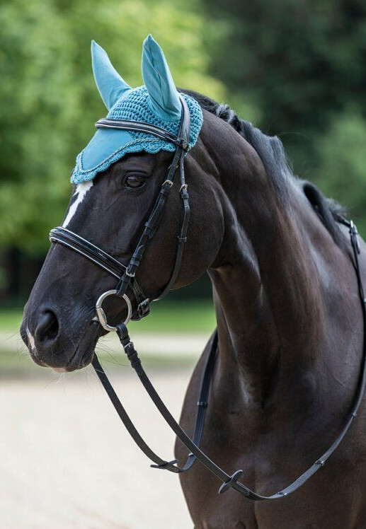 Čabraka S/S 2023 - Deep water PONY